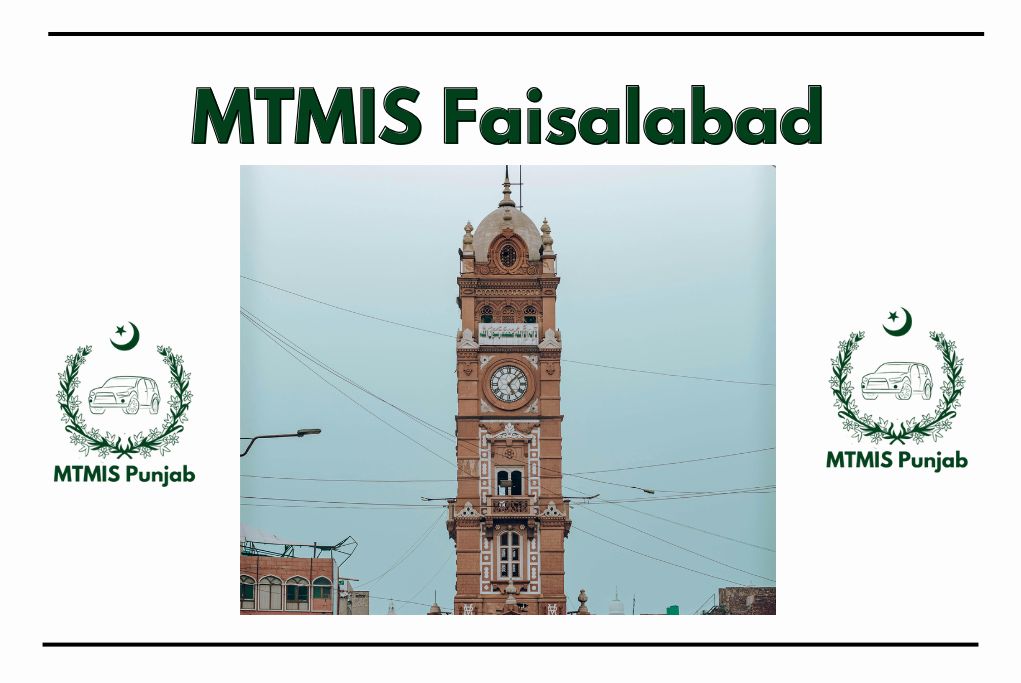 MTMIS Faisalabad