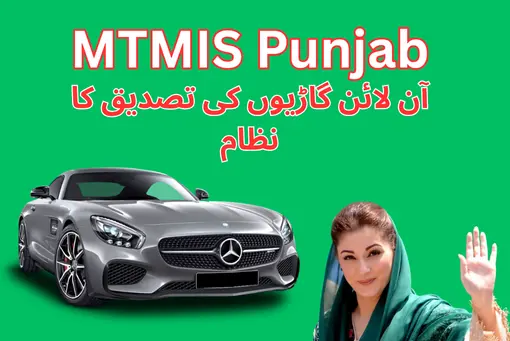 MTMIS Punjab